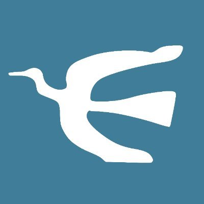 Perfil Política
