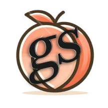 The Georgia Sun