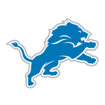 NFL Detroit Lions