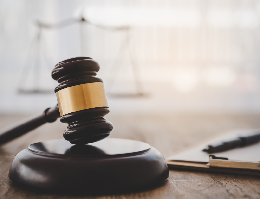 Judge Halts Construction of Alligator Alcatraz Detention Center
