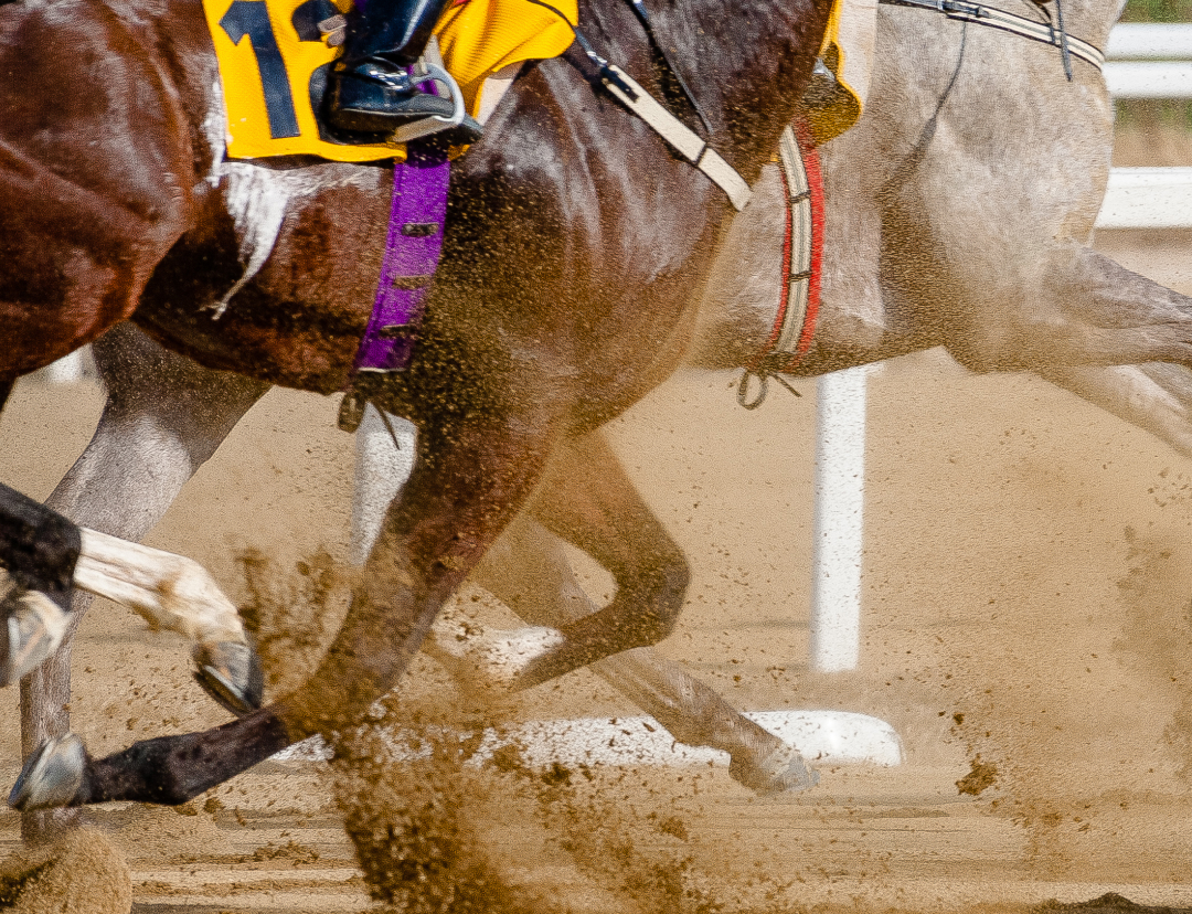 Melbourne Cup Faces Scrutiny Over Edited Race Footage