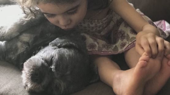 ‘I wouldn’t have believed it’: B.C. father comforted by visits from late daughter’s favourite animal