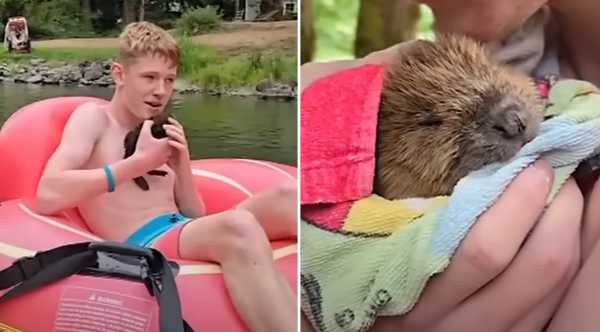 ‘Such a Canadiana experience’: B.C. teen rescues baby beaver from river rapids