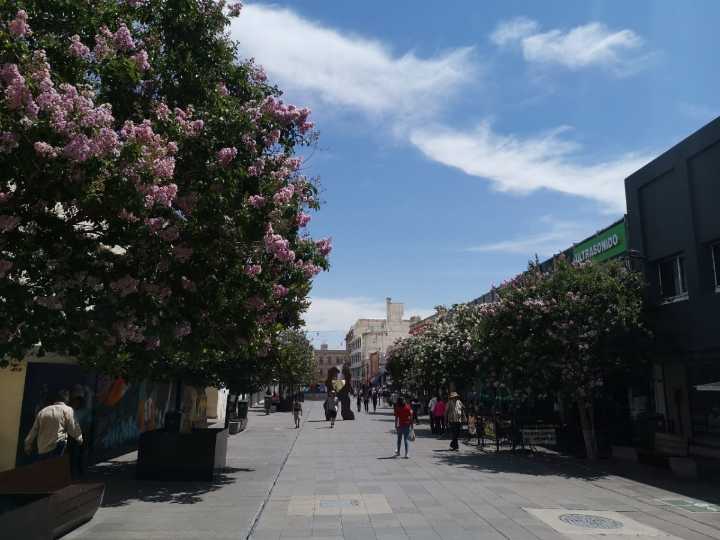 Domingo, con máxima de 33 grados centígrados