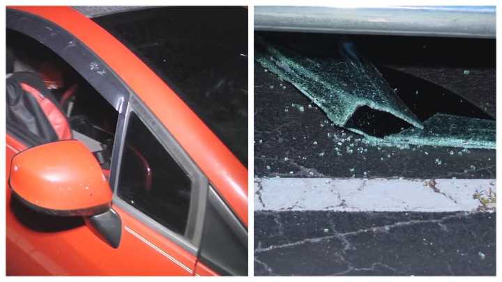 Residente de condominio en Hollywood dispara contra ladrones de carros
