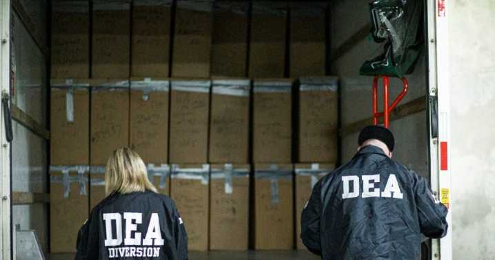 Histórica incautación de la DEA en Atlanta: encuentran más de 2.300 libras de metanfetamina escondidas en apio en un mercado de agricultores