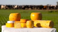 El pueblo bonaerense que celebra la mejor fiesta del queso en Argentina