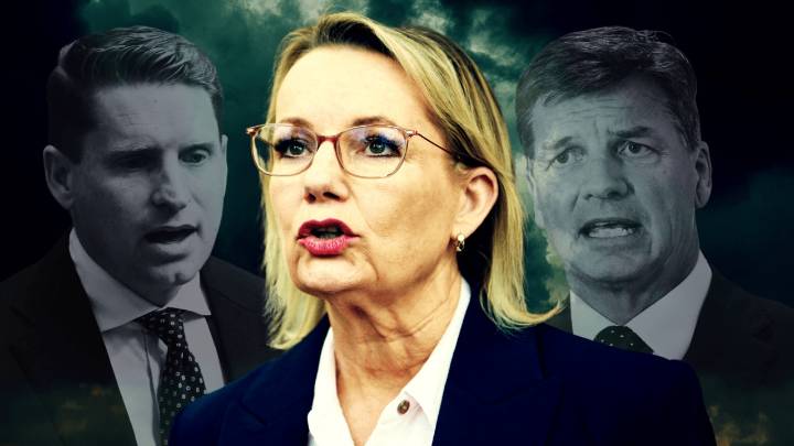 ‘Killing season’: Opposition Leader Sussan Ley says she can survive the year as leadership speculation swirls