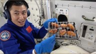 Watch Chinese astronauts enjoy '1st ever space BBQ' from Tiangong's brand