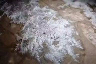 ¿Nieve en Felipe Carrillo Puerto? Habitantes de Cancepchén reportaron misteriosa escarcha