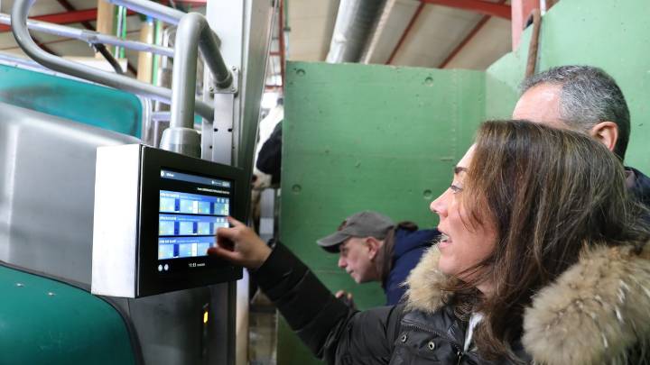 La Junta abre una consulta al sector tecnológico para diseñar un sistema de ordeño innovador para el ovino de Castilla y León