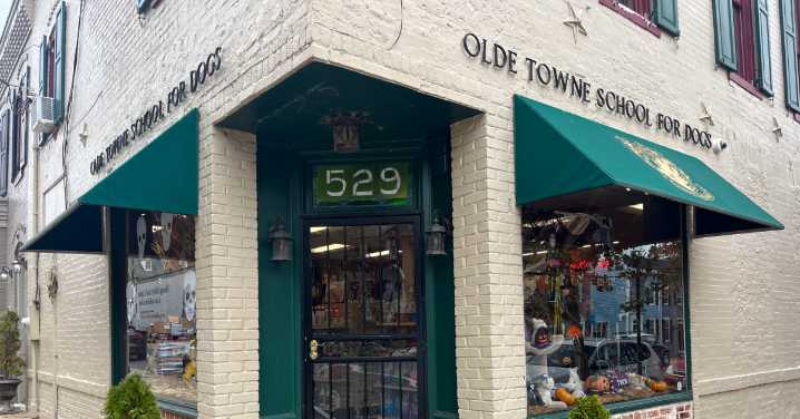 Celebrating 50 Years at Olde Towne School for Dogs