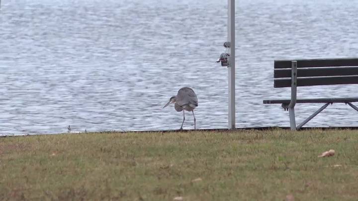 Citizens Energy outlines plan to supply Lebanon from Indianapolis water sources