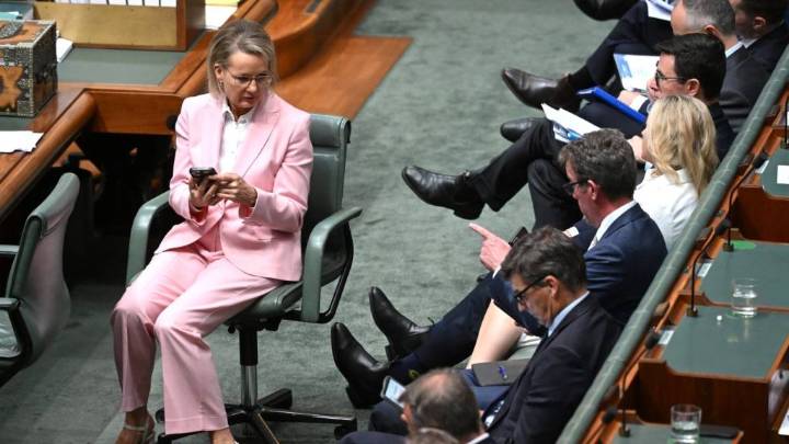 Sussan Ley never stood a chance as leader of the Liberal Party