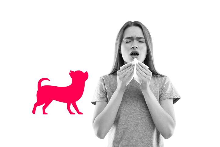 My mother-in-law knows about my severe allergy. She tried to sabotage me anyway.