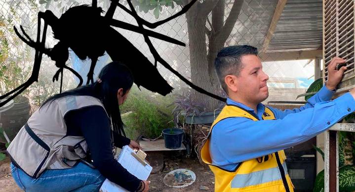 Sonora refuerza combate al dengue, realizan operativos casa por casa en colonias de riesgo en Hermosillo ante aumento de casos