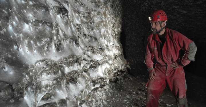 World’s Biggest Spiderweb Found in Horror Cave Crawling With 111,000 Spiders