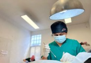 Cancún: Esterilizaran a 300 perros callejeros en tres campañas pro animal