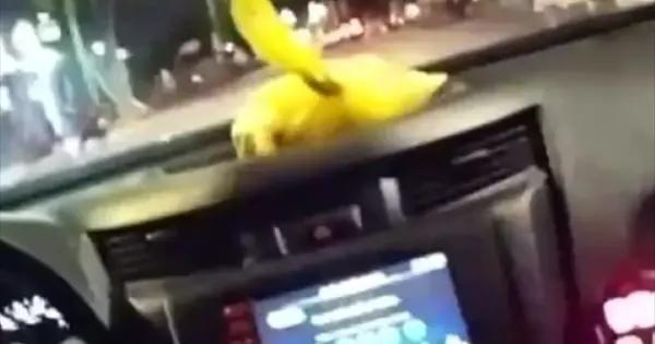 Denuncian abuso de policías de Cárdenas; hay un baleado