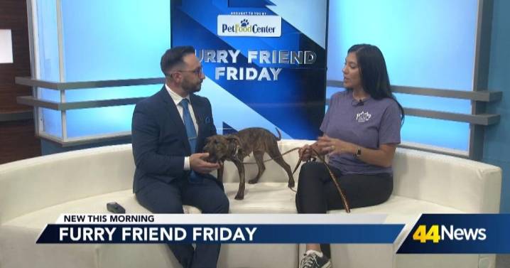 Furry Friend Friday: Meet 'Punkin'