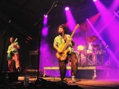 Pigeons Playing Ping Pong to perform in Albany