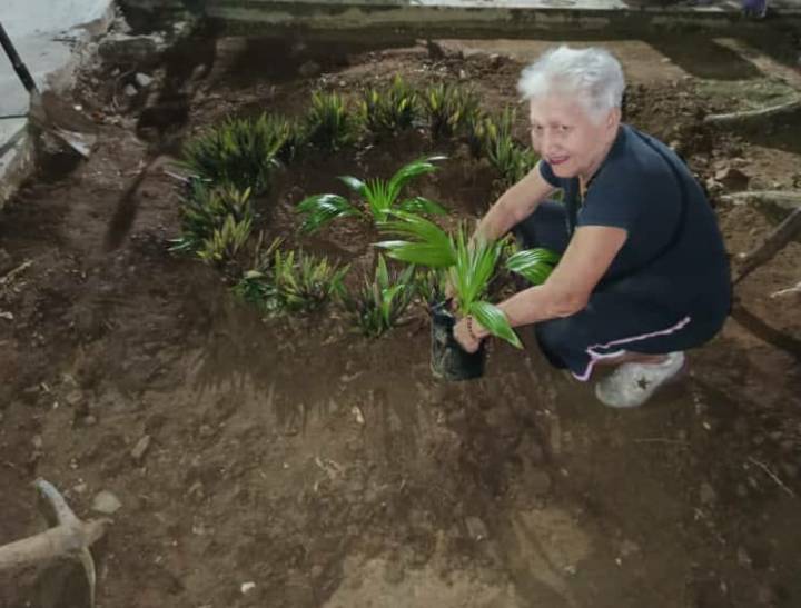 Fundárbol donó más de 2.300 plantas a comunidades e instituciones