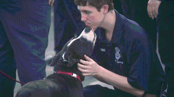 Stockton Police open new pet wellness center aimed at affordability, reducing strays