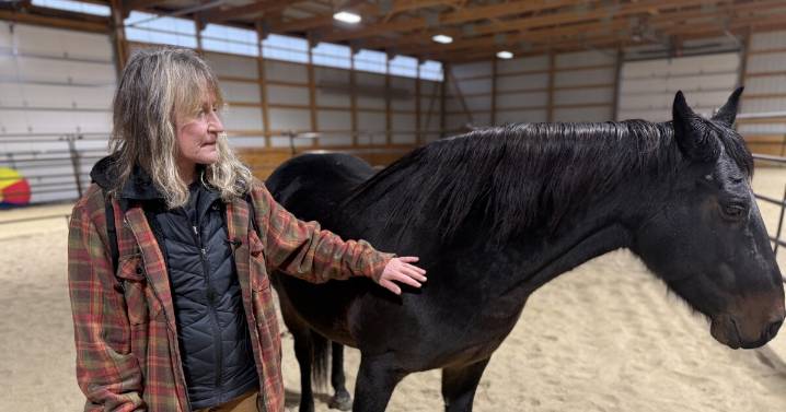 Woman reports suspected abuse, leading to rescue of 46 animals in Town of Scott, Sheboygan Co.