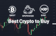 Best Crypto to Buy and HODL Safely as Bitcoin Drops to 6