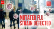 Dangerous flu strain alert: What is ‘Subclade K’, why it has scientists on edge
