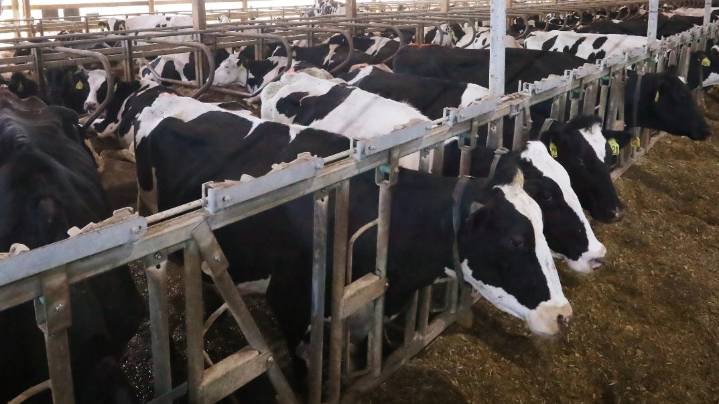 SDSU Extension invites operators to CAFO environmental training