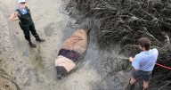 Golfers discover stranded manatee on Bluffton, SC course