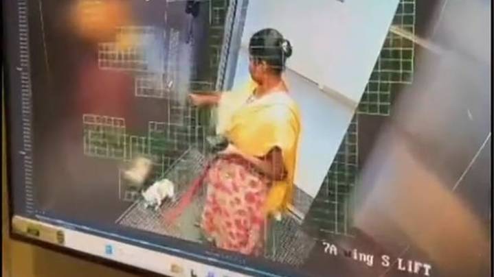B'luru woman arrested after slamming dog to death inside lift