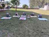 World Pneumonia Day observed