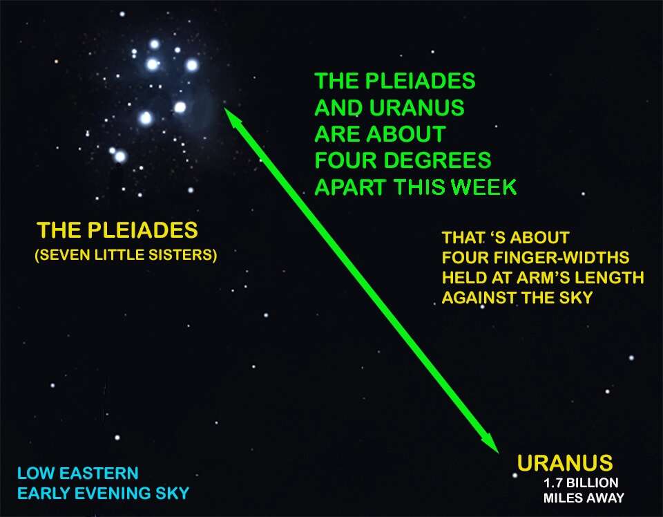 The Seven Little Sisters will lead you to ‘Planet George’ this week