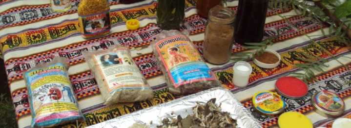 Perú celebra su legado ancestral en el Día Internacional de la Medicina Natural