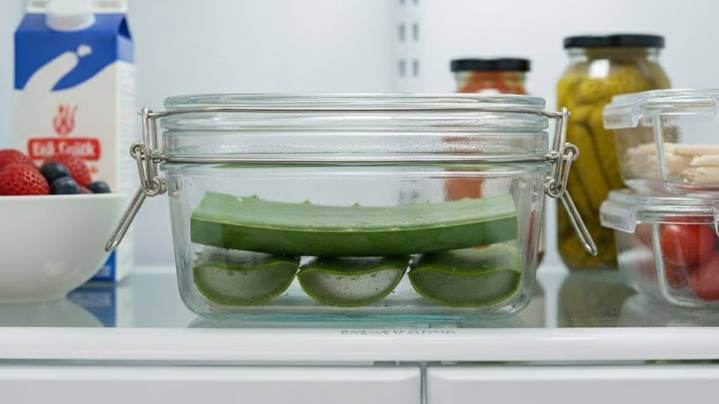 Guardar una hoja de aloe vera en la heladera: cuáles son los beneficios