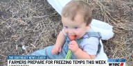 Lowcountry farmers prepare for freezing temperatures this week