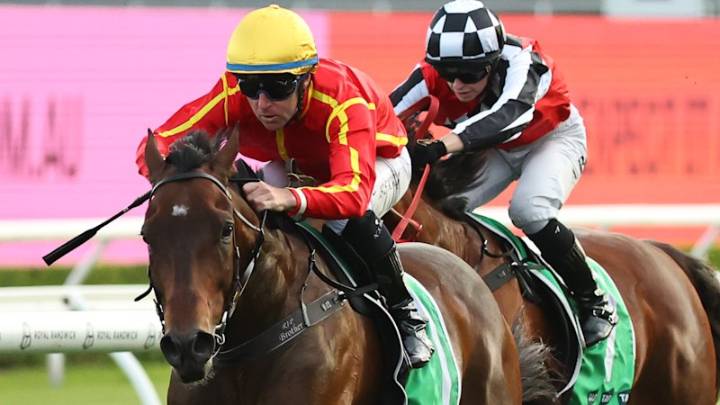 Queensland trainer Tony Gollan eyes Five Diamonds heist with Transatlantic to lay platform for more Sydney riches