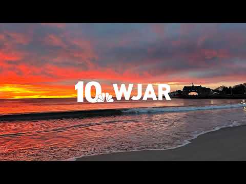 Coffee Break: Mamdani wins, Storm Team 10 forecast, and Tom Brady's cloned dog