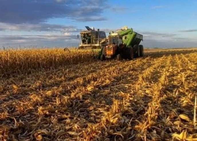 80 millones de litros de diésel requieren agroproductores de Portuguesa