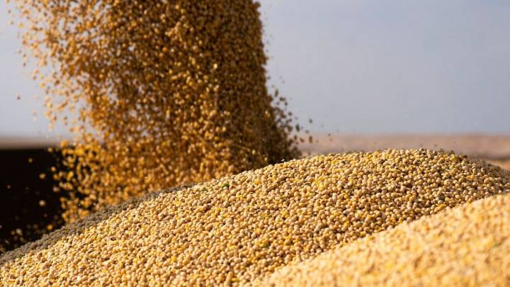 EEUU actualizó su reporte agrícola y anticipó cambios en China