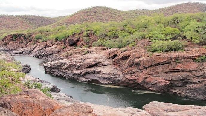 Won't intervene, expert bodies must decide: Top court on Cauvery water