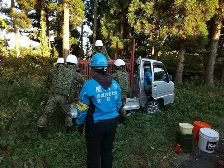 Japón envía tropas a Akita ante récord de ataques de osos