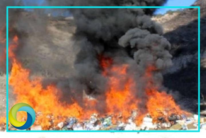 Incineran más de seis toneladas de marihuana y otras sustancias en Tijuana, BC