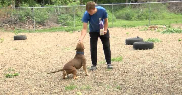 Humane society offering reduced adoption fees through end of year