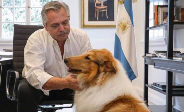 Murió Dylan, el perro de Alberto Fernández