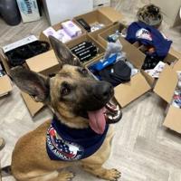 Coffey County Health System raises funds for military canine care packages