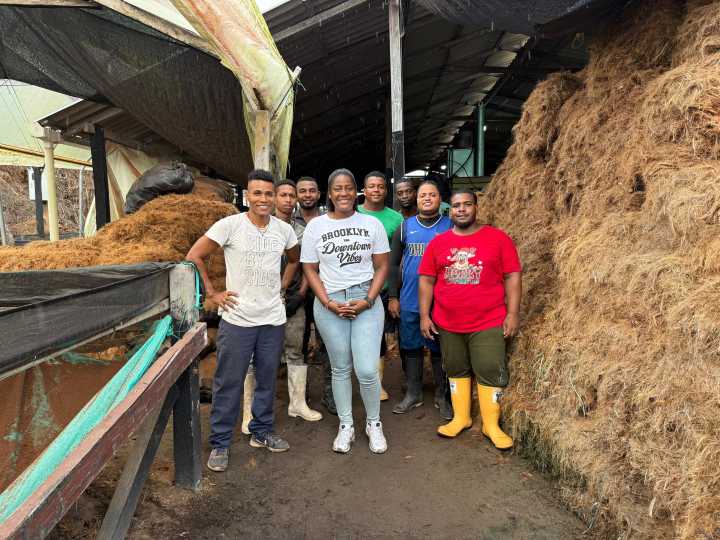Coco, Comunidad y Cambio: La Apuesta Ambiental que Nació en Tumaco