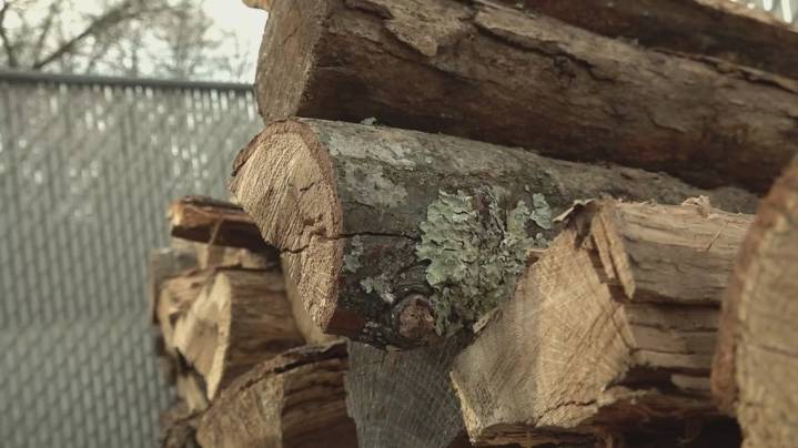 'The Warmth of Webb' Initiative heats hearts and homes in East Tennessee